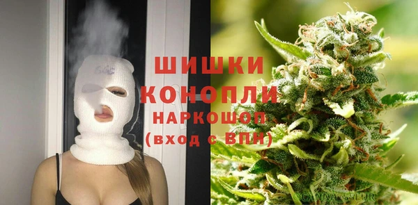 таблы Богородицк