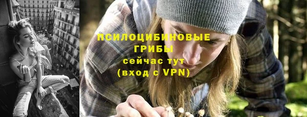 герыч Богородск